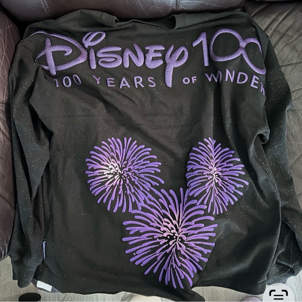 Disney Spirit Jersey